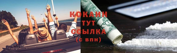 сатива Абинск
