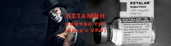 сатива Абинск