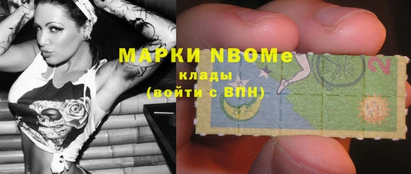 сатива Абинск