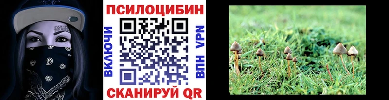 сколько стоит  omg ссылка  Галлюциногенные грибы GOLDEN TEACHER  Алзамай 