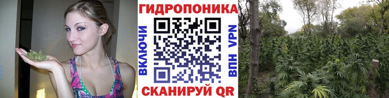 omg ТОР как найти закладки Алзамай Каннабис VHQ